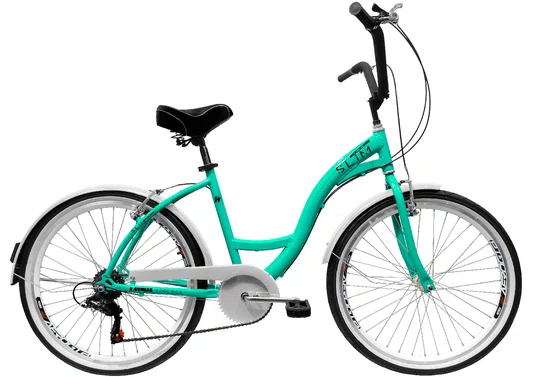 Bicicleta Amazonas Ecos Slim Feminina 6v. Aro 26 Aero