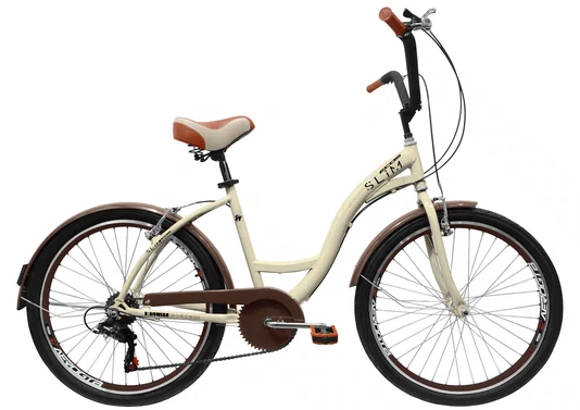 Bicicleta Amazonas Ecos Slim Feminina 6v. Aro 26 Aero
