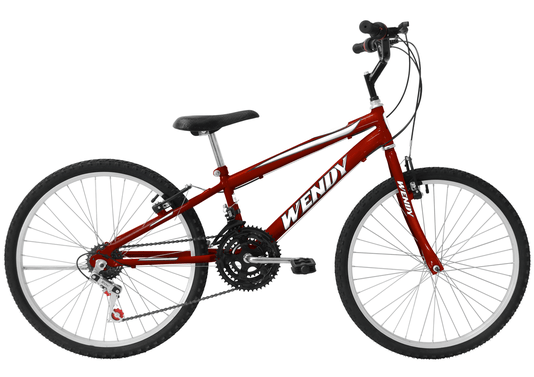 Bicicleta Amazonas Max Unissex 18v. Aro 26 - 1380