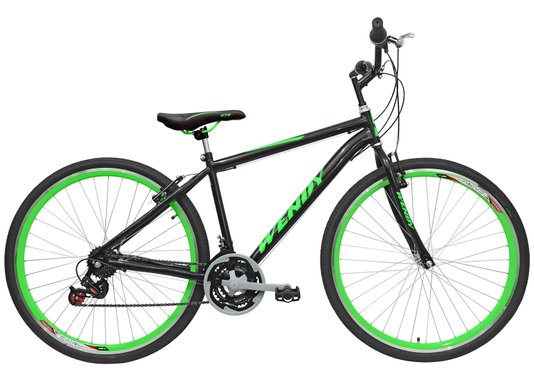 Bicicleta Amazonas Wendy Pro Masculina 21v. Aro 29