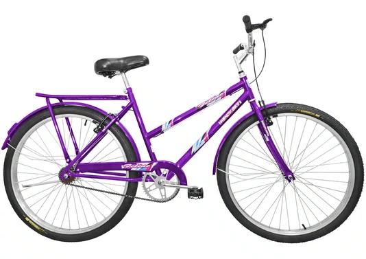 Bicicleta Amazonas Terra Forte Feminina Aro 26