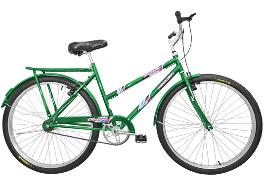 Bicicleta Amazonas Terra Forte Feminina Aro 26