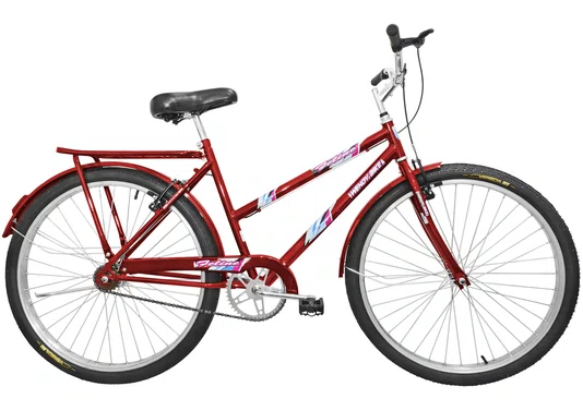Bicicleta Amazonas Terra Forte Feminina Aro 26