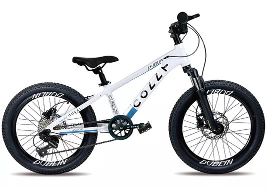 Bicicleta Colli Dublin Sport 7v. Aro 20