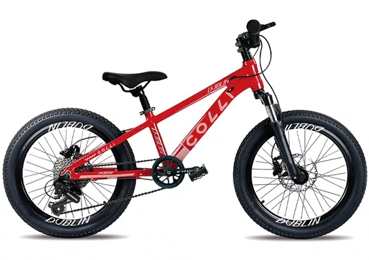 Bicicleta Colli Dublin Sport 7v. Aro 20