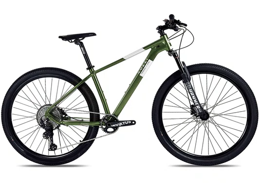 Bicicleta Colli Moscow G2 12v. Aro 29 – 2026
