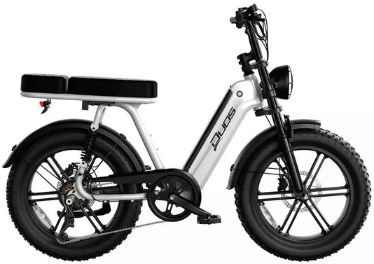 Bicicleta Elétrica Duos E-Koa 1000w