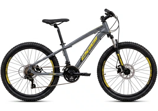 Bicicleta Oggi 24 Hacker 21v. Aro 24
