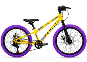 Bicicleta Colli Grauzinha 7v. Aro 20