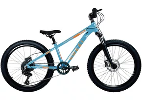 Bicicleta Colli Napoli Sport 7v. Aro 24