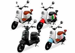 Bicicleta Elétrica Shiver 48v. 800w