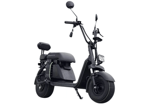 Scooter Elétrica Watts W5 650W
