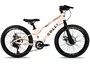 Bicicleta Colli Airon 7v. Aro 20
