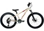 Bicicleta Colli Napoli Sport 7v. Aro 24