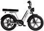 Bicicleta Elétrica Duos E-Koa 1000w
